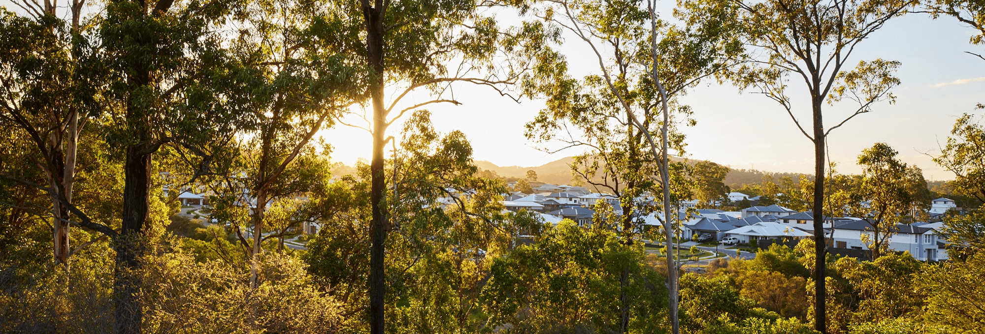 Ellendale - Queensland